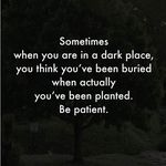 David Boncler Goodman - @david__boncler - Instagram