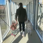 David Smedegård Bonde - @david_smedegaard_bonde - Instagram