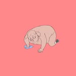 David Tobias Bonde Jensen - @agapeforbeginners - Instagram