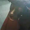 davidbone027 - @davidbone027 - TikTok