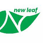 David Bonett - @newleafzimbabwe - Instagram