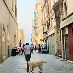 davidbonett - @davidbonett - Instagram