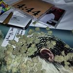davidbongiasca - @davidbongiasca - Instagram