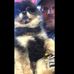 David Bongiovanni - Facebook
