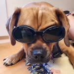 David Bonne - @davidbonne - Instagram