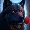 David Bonneau - @david.bonneau8 - TikTok