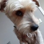 David Bonnin - @david.bonnin.3760 - Instagram
