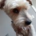 David Bonnin - Facebook