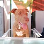 David Bonnin - @david.bonnin.96 - Instagram