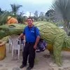 davidbonsanto3 - @davidbonsanto3 - TikTok