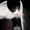 David Bonte - @davidbonte1 - TikTok