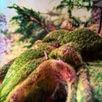 David Bonyun - @davidbonyun - Instagram