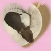 David Boorman - @david.boorman45 - TikTok