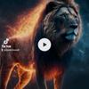 David Boos - @david.boos8 - TikTok