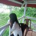 David Borah - Facebook