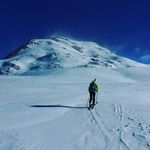 david.borel - @david.bo6 - Instagram