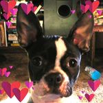 David Borkowski - @k8bor - Instagram