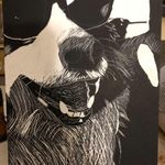 David Norm Bormann - @bormanndavidnorm - Instagram