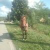 David Boros - @david.boros2 - TikTok