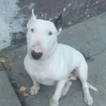 David Boros - @boros1942 - Instagram