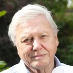 david Atimborough - @david.atimborough - Instagram
