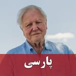 David Attenborough - @davidborough_persian - Instagram