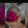 david_attounborough - @david_attounborough - TikTok