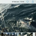 David Darnborough - @daviddarnborough - Instagram
