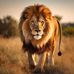 David Borquez - Facebook
