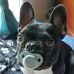 David Borrego - Facebook