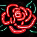 David Bortz - @limitness_vibes - Instagram
