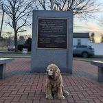 Timothy David Bortz - @timothydavidbortz - Instagram