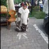 David bos - @davidbos277 - TikTok