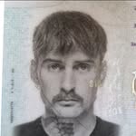 David Bostrand - @davidbostrand - Instagram