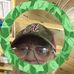 David Bosarge - Facebook
