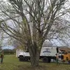 David Boshers - @davidboshers1 - TikTok
