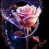 David Boskets - @david.boskets - TikTok