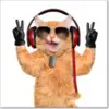 David Botero - @davidbotero246 - TikTok