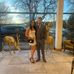 David Bothwell - Facebook