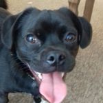 james david bothwell - @jamesdavidbothw - Instagram