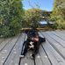 David Botté - Facebook