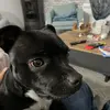Davidbotte - @davidbotte2709 - TikTok