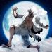 David Bond - Facebook