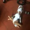 David Bourret533 - @davidbourret533 - TikTok