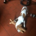 David Bourret - @david.bourret.58 - Instagram