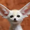 davidbovill953 - @davidbovill953 - TikTok