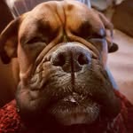 David Bowen-Smith - @bowensmithdavid - Instagram