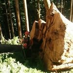 David Bowles - @skinnykid32 - Instagram