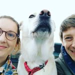 David Boys-Layton - @davidboyslayton - Instagram
