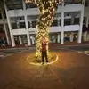 davidboysimga6 - @odelys.barzaga - TikTok